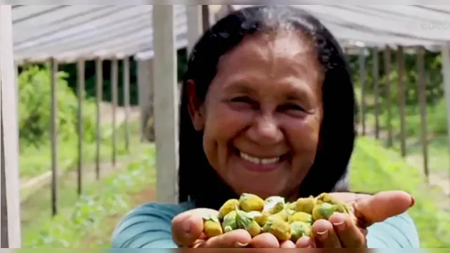 Imagem ilustrativa da notícia Produção da agricultora familiar em Marituba é destaque em programa da Globo