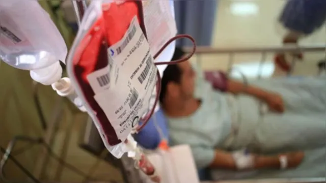 Imagem ilustrativa da notícia Ação do Hemopa coleta 150 bolsas de sangue de voluntários