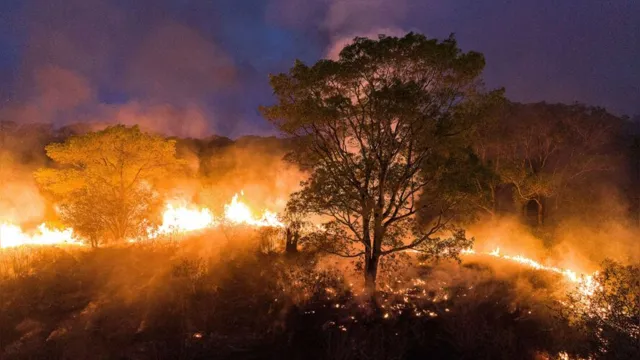 Imagem ilustrativa da notícia Amazônia já tem mais queimadas em 2020 do que em todo o ano passado