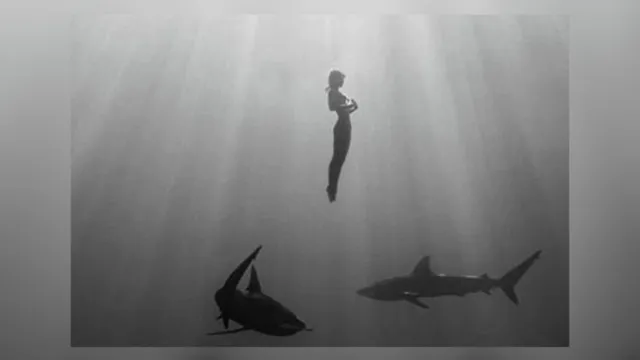 Imagem ilustrativa da notícia Modelo que posou nua em tempo religioso mergulha desprotegida com tubarões
