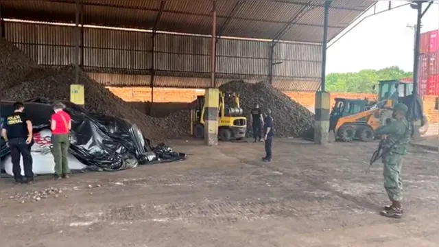 Imagem ilustrativa da notícia Operação apreende 146 mil toneladas de manganês e destrói 3 mil pés de maconha no Pará