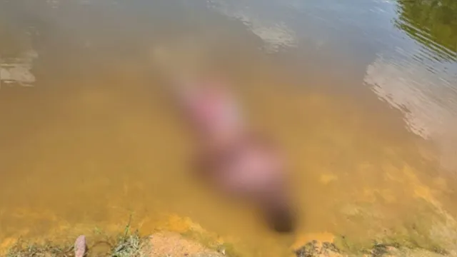 Imagem ilustrativa da notícia Homem embriagado vai tomar banho em rio e morre afogado no Pará