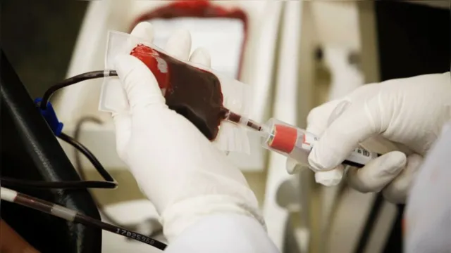 Imagem ilustrativa da notícia Fundação Hemopa envia 140 bolsas de sangue para o Amapá