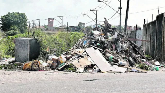 Imagem ilustrativa da notícia TCM suspende nova licitação para coleta de lixo em Belém