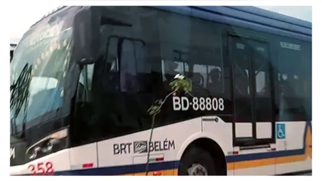 Imagem ilustrativa da notícia Ciclista é atropelado na pista expressa do BRT em Belém