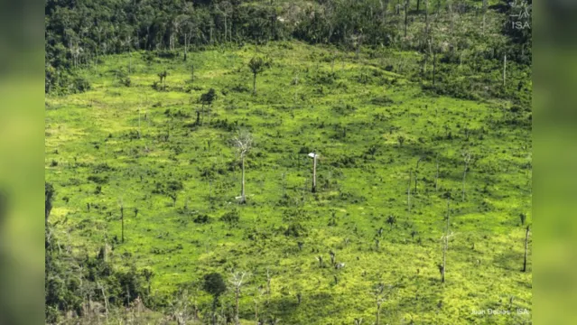 Imagem ilustrativa da notícia MPF recomenda suspensão imediata de expedição da Funai em área de indígenas isolados no Pará