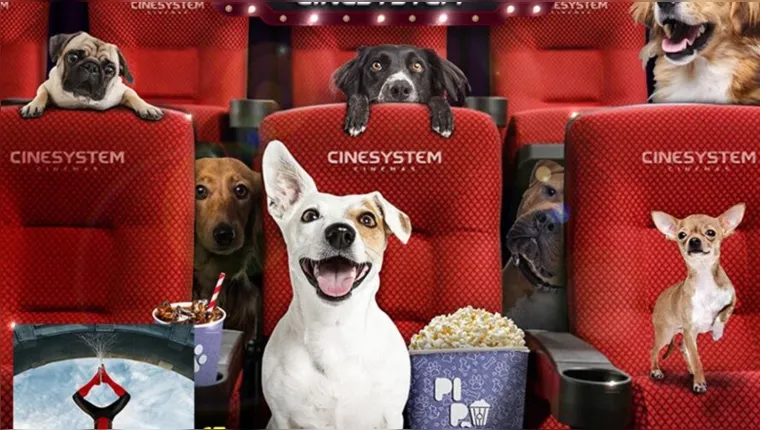 Imagem ilustrativa da notícia Cine Pet: sessão de cinema aberta a animais de estimação está de volta!