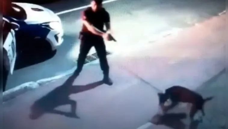 Imagem ilustrativa da notícia Vídeo: Guarda Municipal desce de viatura e atira em cachorro 