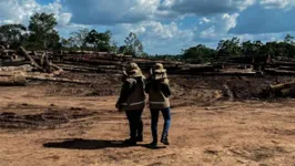 Imagem ilustrativa da notícia Semas fecha 10 serrarias clandestinas em ação conjunta com órgãos federais