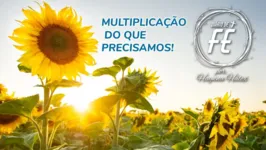 Imagem ilustrativa da notícia Aprenda sobre a multiplicação dos pães, peixe e tudo mais no dolcast da semana "Diário de Fé"
