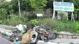 Lixo foi jogado em área onde moradores tinham plantado mudas
