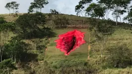 Mariana propôs criar "Diva" em meio à natureza
