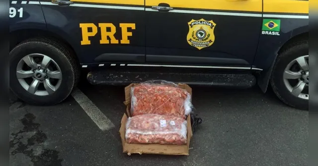 Imagem ilustrativa da notícia PRF apreende 700kg de camarão ilegal no nordeste paraense
