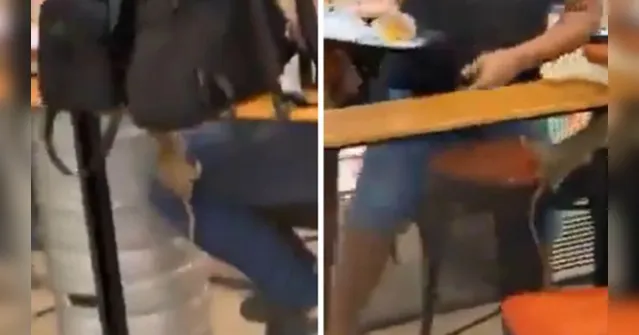 Imagem ilustrativa da notícia Vídeo: rato sobe em clientes na praça de alimentação de shopping