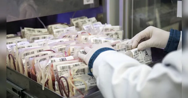 Imagem ilustrativa da notícia Doações de sangue reduzem com as festas de fim de ano