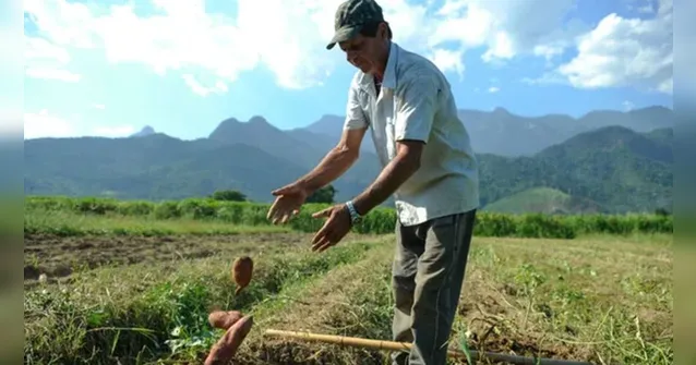 Imagem ilustrativa da notícia Emater treina técnicos para ampliar a validação de Cadastro Ambiental Rural no Pará