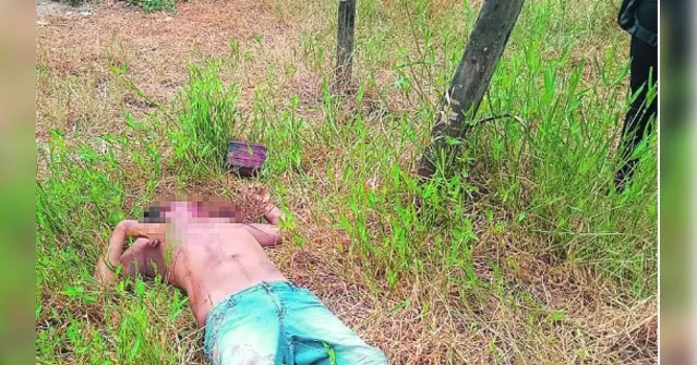 Imagem ilustrativa da notícia Corpo de homem é encontrado em terreno baldio em Bragança