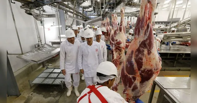 Imagem ilustrativa da notícia Pará consegue certificação nacional que fortalece e amplia agronegócio local