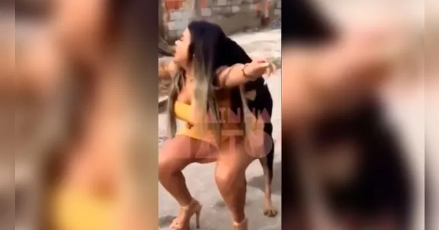 Imagem ilustrativa da notícia Acompanhante é "encarcada" por cachorro e web critica; veja o vídeo