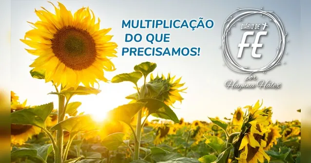Imagem ilustrativa da notícia Aprenda sobre a multiplicação dos pães, peixe e tudo mais no dolcast da semana "Diário de Fé"