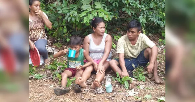 Imagem ilustrativa da notícia Irmãos desaparecidos após saírem para caçar em floresta são encontrados 