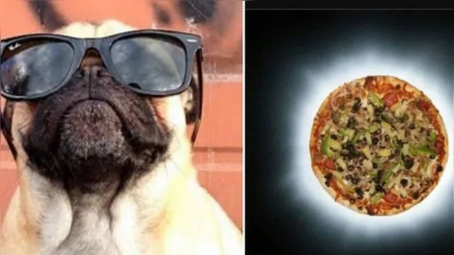 Imagem ilustrativa da notícia Internautas tentam, mas não conseguem ver o eclipse no Brasil; veja os  memes!