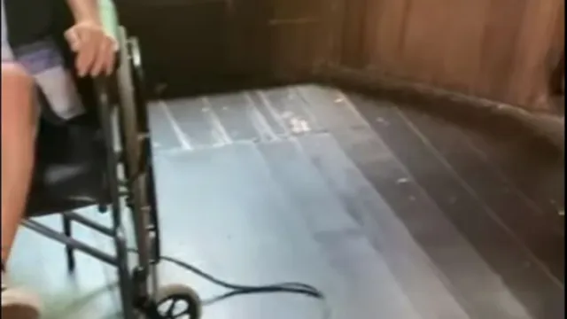Imagem ilustrativa da notícia Vídeo: cobra escapa em zoológico e faz menina pular da cadeira de rodas