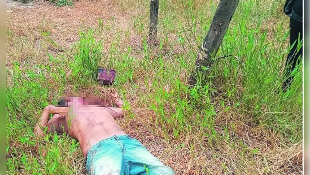 Imagem ilustrativa da notícia Corpo de homem é encontrado em terreno baldio em Bragança