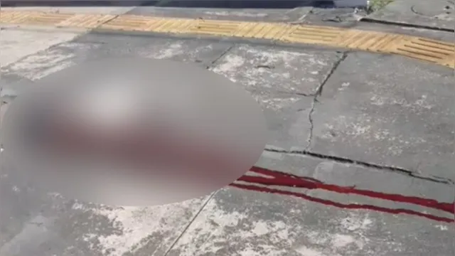 Imagem ilustrativa da notícia Crueldade em plena luz do dia: homem saca arma e mata cachorro em Belém 