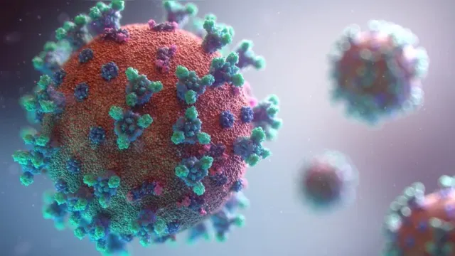 Imagem ilustrativa da notícia Variantes do coronavírus trazem risco alto para sistema de saúde, diz agência