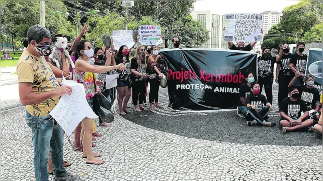Imagem ilustrativa da notícia Manifestantes pedem o fim da violência contra os animais