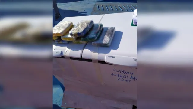 Imagem ilustrativa da notícia Quase 10 kg de cocaína são encontrados dentro de freezer em navio no Pará