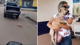 Cachorra foi resgatada e está sendo cuidada por membros de Ong