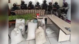 Os trabalhadores haviam sido atraídos para plantar milho e soja