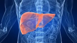 Hepatite ataca diretamente o fígado.