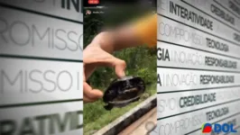 Imagem ilustrativa da notícia Homens são flagrados capturando e torturando tartaruga no Parque do Utinga em Belém, veja!