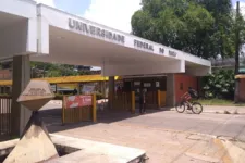 Imagem ilustrativa da notícia Antropóloga da UFPA encontra documentos perdidos em enchente após DOL Ajuda e agradece