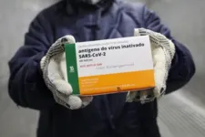 Os casos foram registrados em dez cidades de seis estados -Ceará, Rio Grande do Norte, Paraíba, Pernambuco, Sergipe e Bahia.