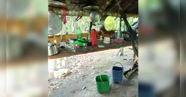 Imagem ilustrativa da notícia Trabalhadores em situação de escravidão são resgatados em meio ao mato no Pará