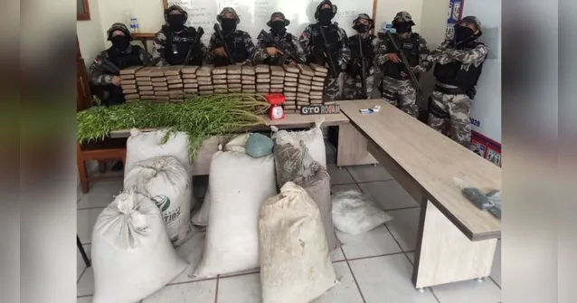 Imagem ilustrativa da notícia Pará: trabalhadores recebem proposta de plantar milho e soja, mas era maconha