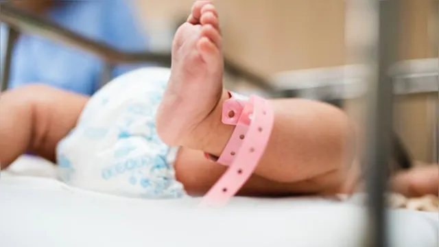 Imagem ilustrativa da notícia Bebê nasce com anticorpos contra a Covid-19 após mãe vacinada