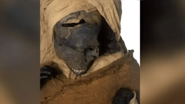 Imagem ilustrativa da notícia Tomografia em múmia revela que faraó foi morto a machadadas