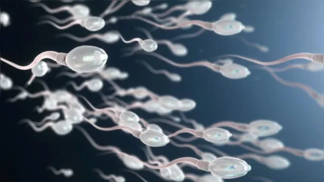 Imagem ilustrativa da notícia Covid-19: vírus pode reduzir fertilidade masculina