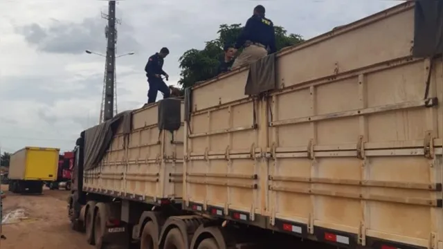 Imagem ilustrativa da notícia Polícia apreende 142 comprimidos de anfetamina em caminhão no Pará