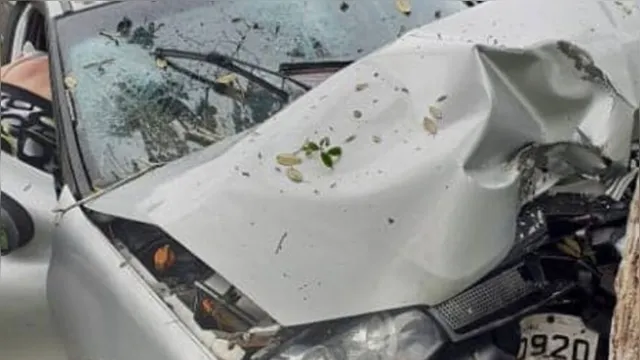 Imagem ilustrativa da notícia Casal fica gravemente ferido após perder controle do carro e colidir com árvore no interior do Pará