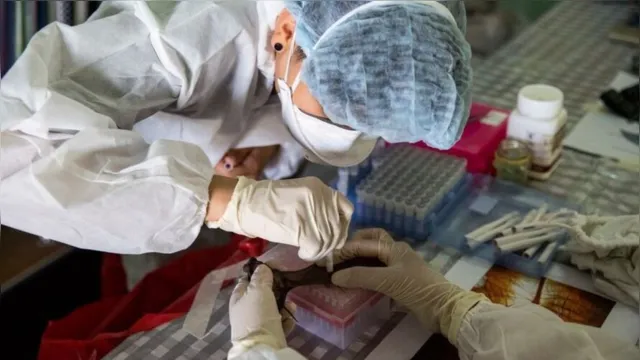 Imagem ilustrativa da notícia Cientistas na Ásia tentam evitar pandemia de novo vírus mortal