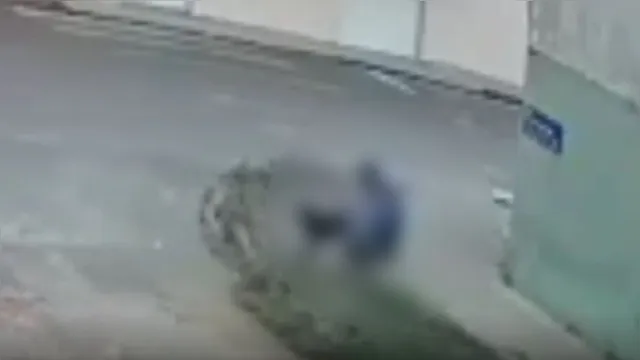 Imagem ilustrativa da notícia Homem é procurado por estuprar cachorro em rua