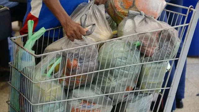 Imagem ilustrativa da notícia Sacolas plásticas estão proibidas em supermercados a partir de domingo (14); saiba como fazer uma eco bag