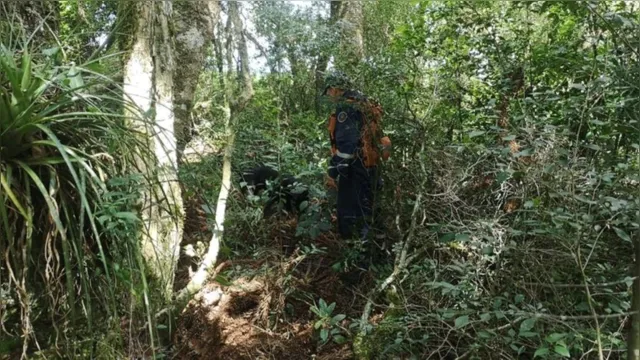 Imagem ilustrativa da notícia Adolescente de 14 anos é encontrada morta amarrada em árvore