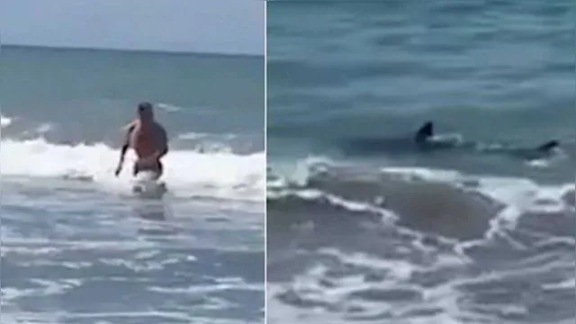 Imagem ilustrativa da notícia Banhista escapa por pouco de tubarões em praia; assista!